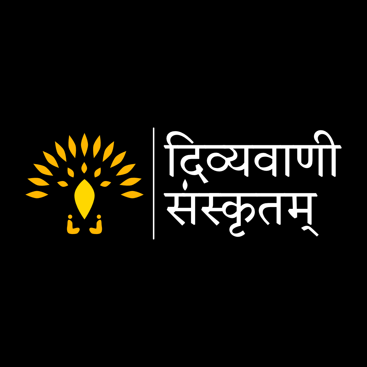 दिव्यवाणी संस्कृतम्
